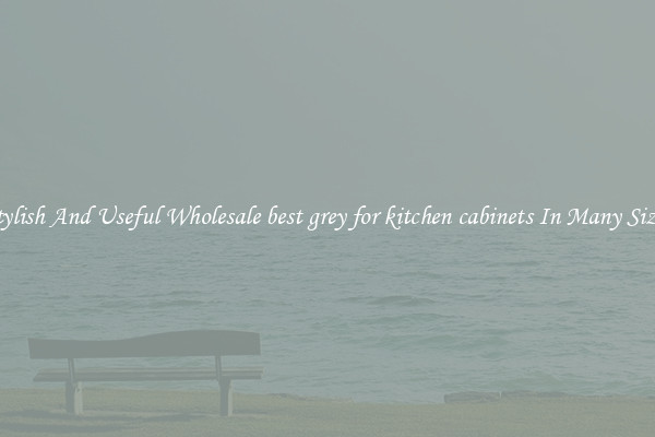 Stylish And Useful Wholesale best grey for kitchen cabinets In Many Sizes