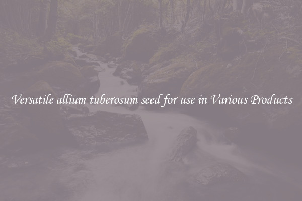 Versatile allium tuberosum seed for use in Various Products