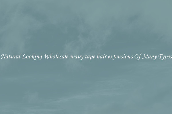 Natural Looking Wholesale wavy tape hair extensions Of Many Types
