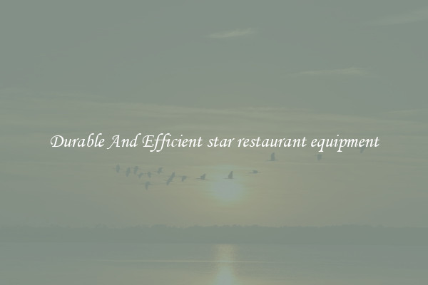 Durable And Efficient star restaurant equipment