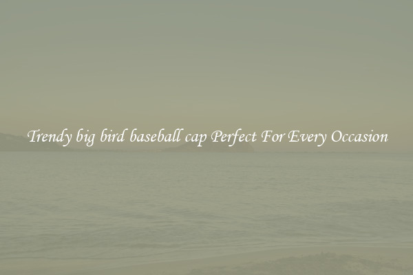 Trendy big bird baseball cap Perfect For Every Occasion