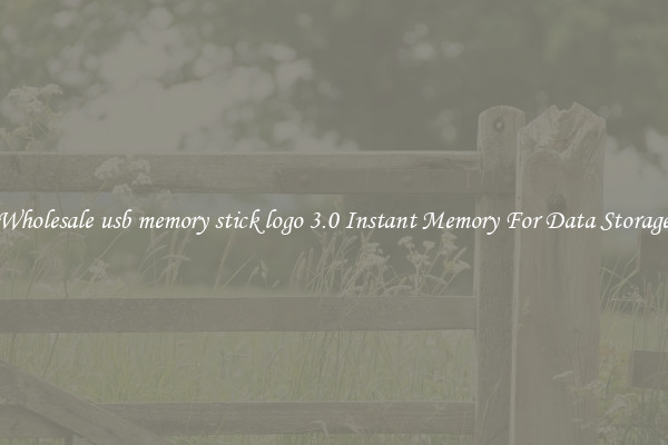 Wholesale usb memory stick logo 3.0 Instant Memory For Data Storage