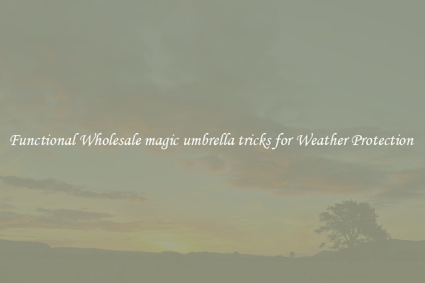 Functional Wholesale magic umbrella tricks for Weather Protection 