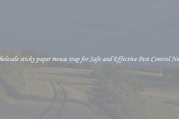 Wholesale sticky paper mouse trap for Safe and Effective Pest Control Needs
