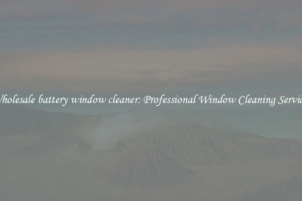 Wholesale battery window cleaner: Professional Window Cleaning Services