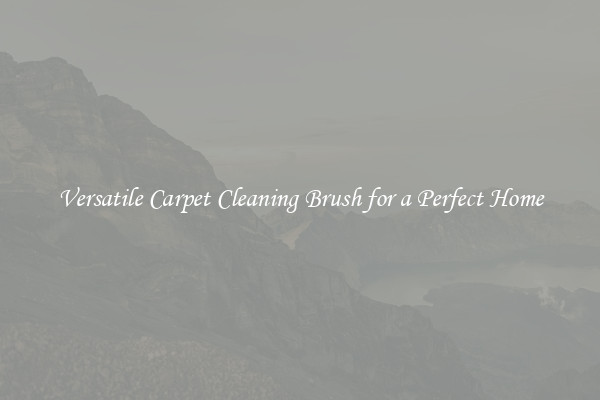 Versatile Carpet Cleaning Brush for a Perfect Home