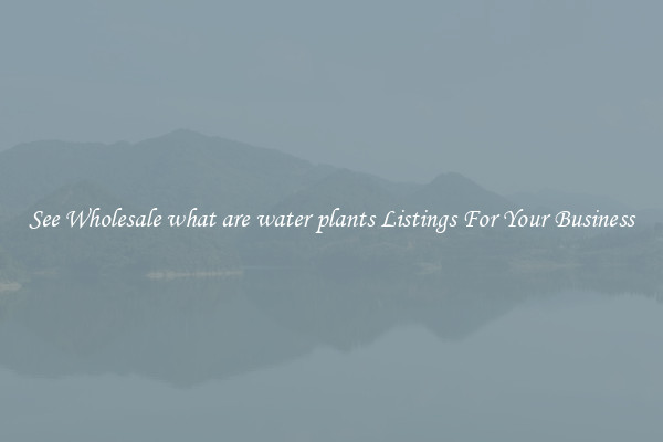 See Wholesale what are water plants Listings For Your Business