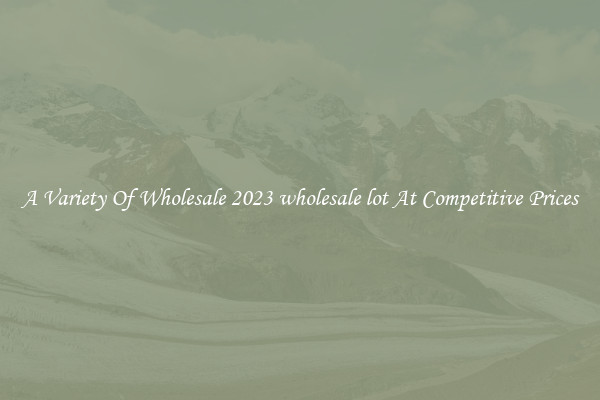 A Variety Of Wholesale 2023 wholesale lot At Competitive Prices