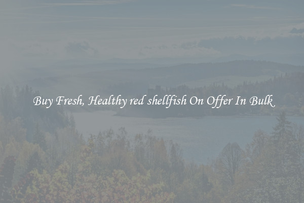 Buy Fresh, Healthy red shellfish On Offer In Bulk