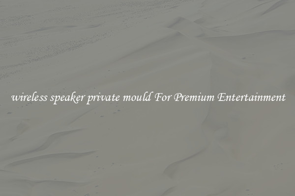 wireless speaker private mould For Premium Entertainment