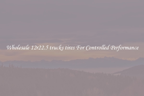 Wholesale 12r22.5 trucks tires For Controlled Performance