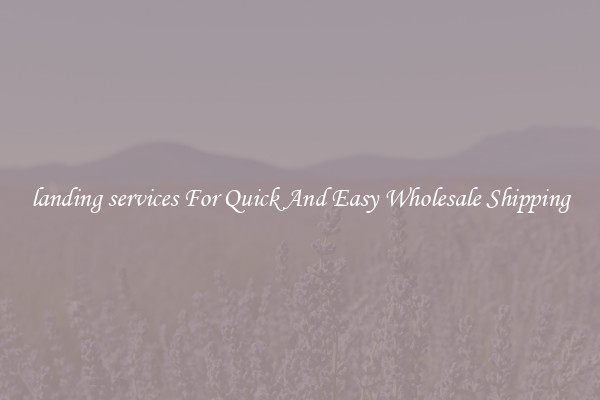 landing services For Quick And Easy Wholesale Shipping