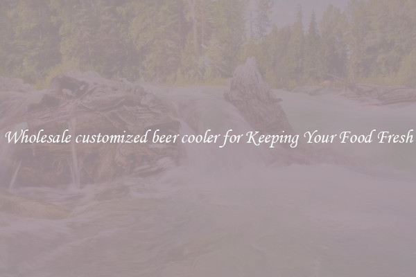 Wholesale customized beer cooler for Keeping Your Food Fresh
