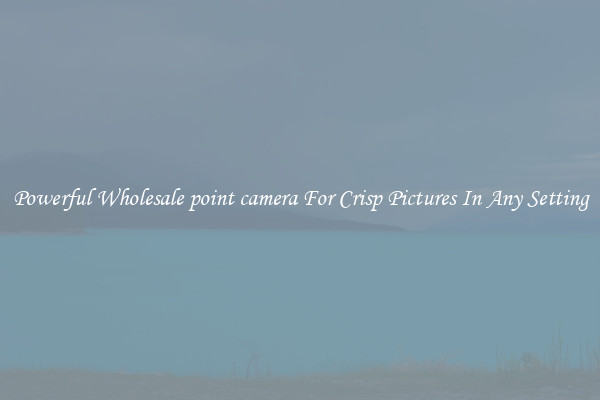 Powerful Wholesale point camera For Crisp Pictures In Any Setting