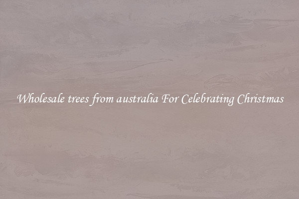 Wholesale trees from australia For Celebrating Christmas