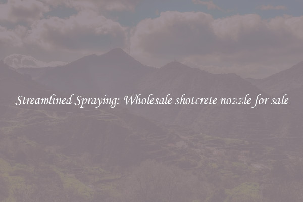 Streamlined Spraying: Wholesale shotcrete nozzle for sale